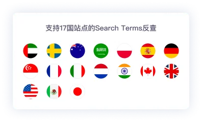 Search Terms 站点选择界面